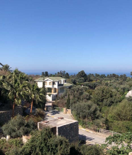 Tezgah Cafe Zeytinlik