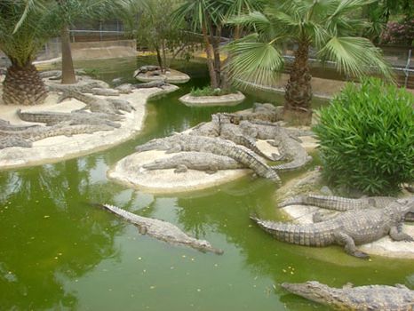 zoo