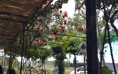 İzmir Yenişakran Kahvaltı Mekanları