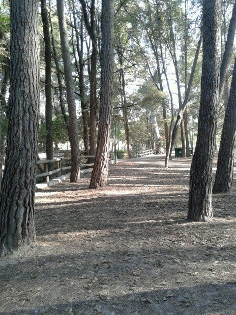 park