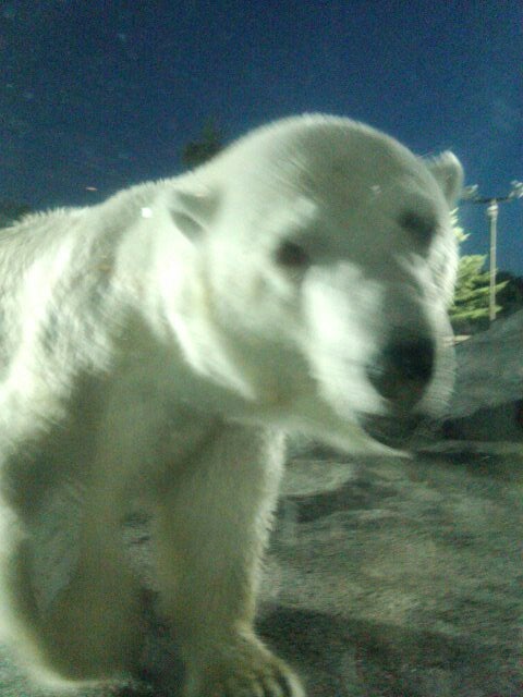 zoo-exhibit