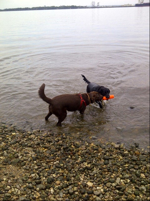 boat-launch