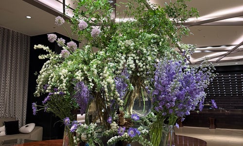 The Plaza Hotel (더 플라자)