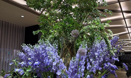 The Plaza Hotel (더 플라자)