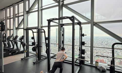 Park Hyatt Tokyo (パークハイアット東京)