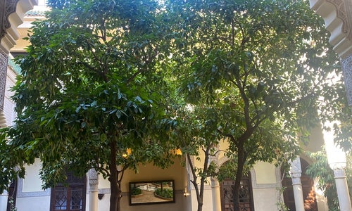 La Villa Des Orangers Hotel Marrakech
