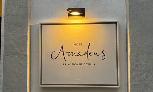 Hotel Amadeus