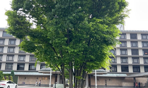 Kyoto Brighton Hotel (京都ブライトンホテル)