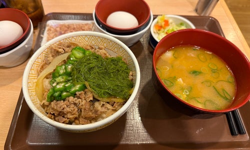 すき家 117号飯山店の写真