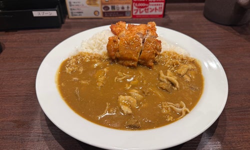CoCo壱番屋 上田中央東店の写真