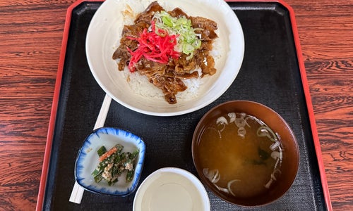 湯けむり屋敷 薬師の湯の写真