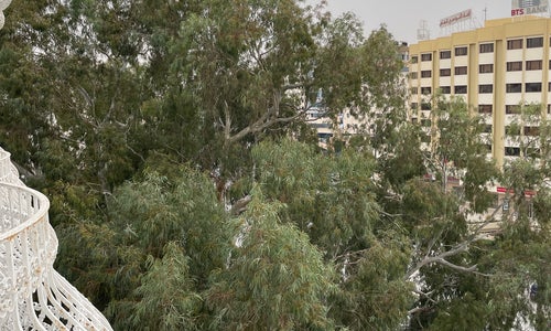 Hôtel La Maison Blanche Tunis