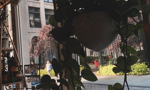 Hotel Nelligan