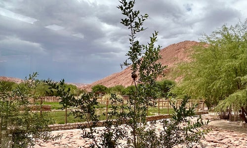 Hotel Alto Atacama Desert Resort & Spa