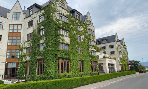 The Brehon