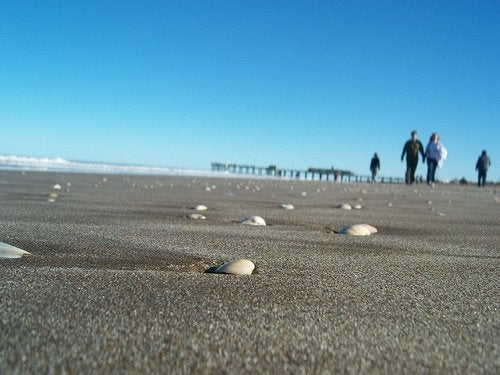 beach