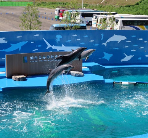 家族連れにもおすすめ みんなで楽しめる観光スポットを巡る仙台旅 宮城 仙台の旅行モデルコース こころから