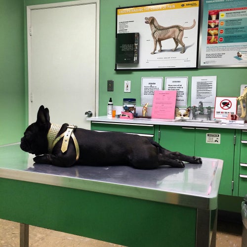 Avenue 26 Small Animal Hospital