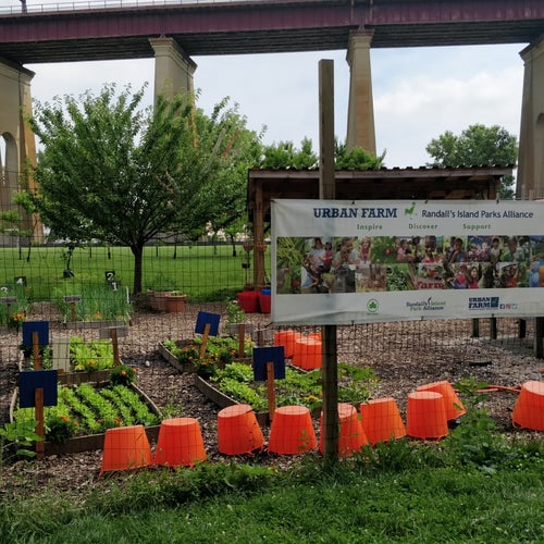Randall's Island Urban Farm