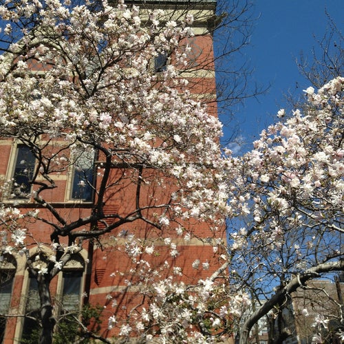 Jefferson Market Garden
