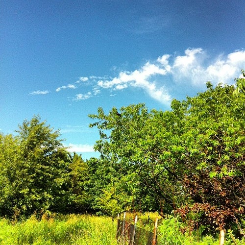 Montrose Point Bird Sanctuary