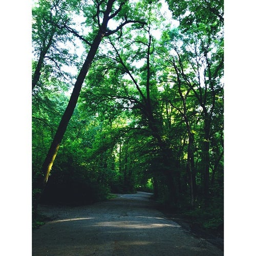 Overton Park 2080 Poplar Ave Memphis