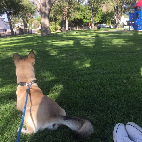 Summit Park