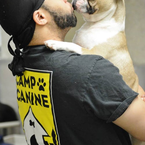 Camp Canine