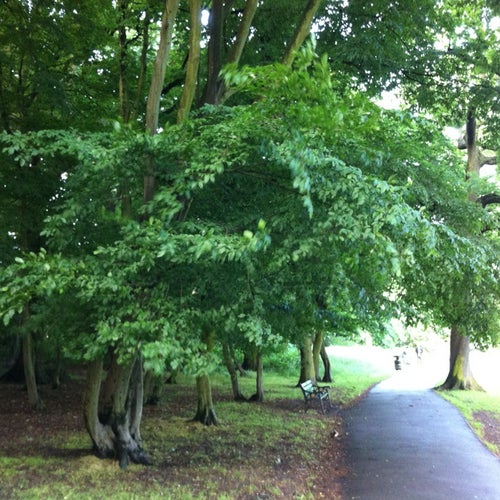 Cherry Tree Wood Summerlee Ave East Finchley