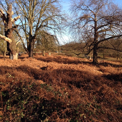 Ham Gate Richmond Park