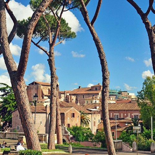 Parco del Colle Oppio Viale del Monte Oppio Roma Parco del Colle Oppio Viale del Monte Oppio Roma