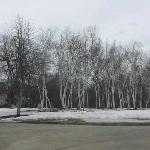 Bass Island Park
