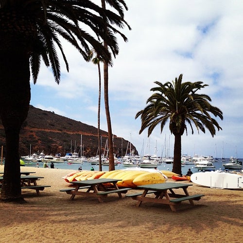 Catalina, Two Harbors , Avalon Avalon