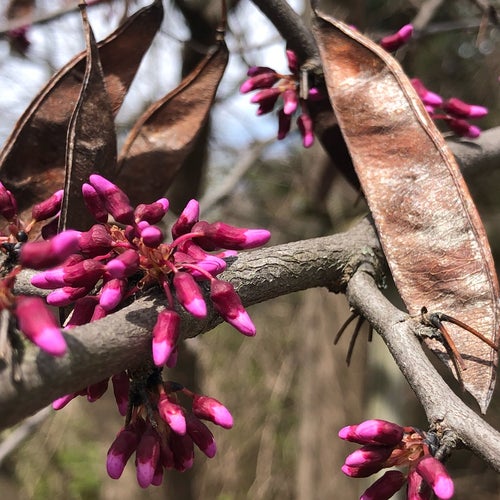 Web potter park zoo is a 20 acre zoo within an 80 acre park located in the capital city of lansing, michigan. Potter Park Zoo 1301 S Pennsylvania Ave Lansing