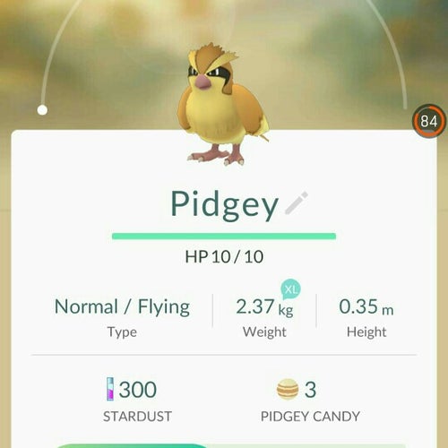 Gereja Mawar Sharon Central Park Mall Gedung Tribeca Lt.1 Jakarta