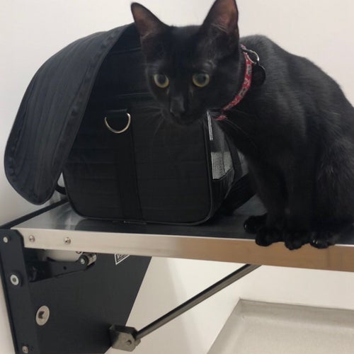 West LA Veterinary Group