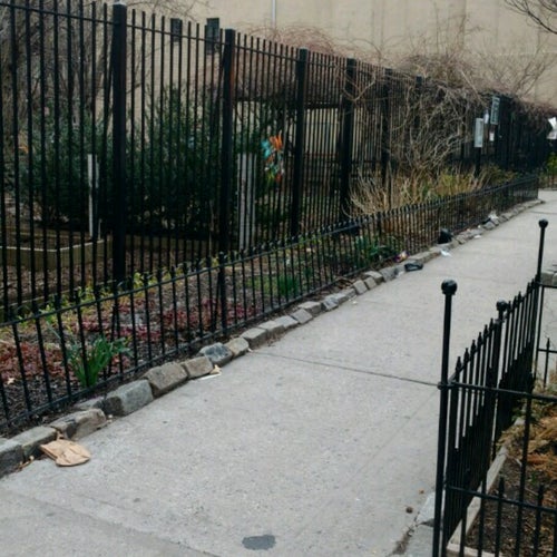 Harlem Grown