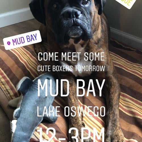 Mud Bay