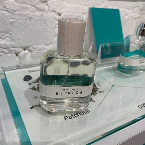 Olfactory Nyc