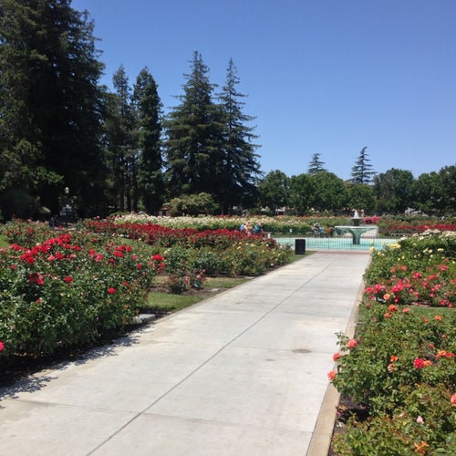 San Jose Municipal Rose Garden Naglee Ave. San Jose