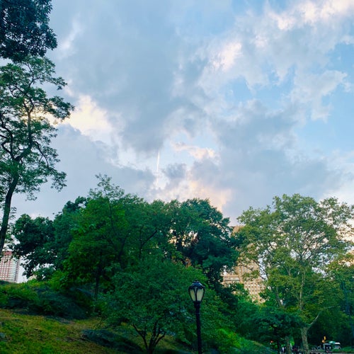 The Falconer Olmstead and Vaux Way New York