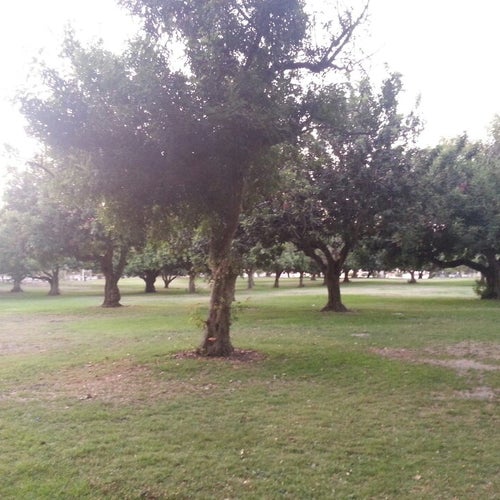 My Image 25