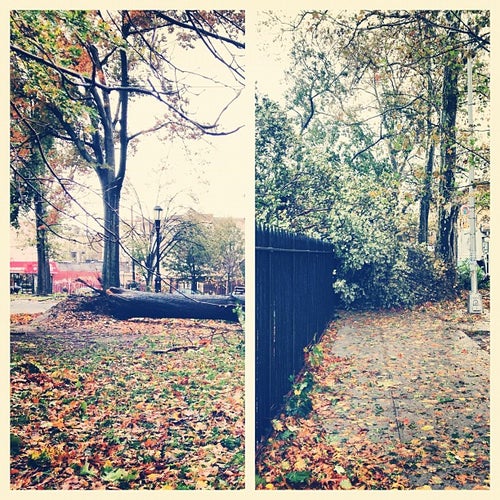 Maria Hernandez Park Irving & Knickerbocker Ave Brooklyn