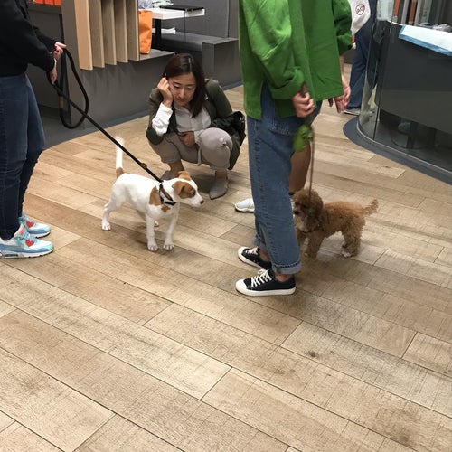 Best Friends Pet Adoption Center