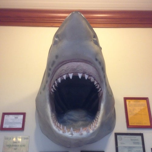 The Fish Market San Jose 1007 Blossom Hill Rd San Jose