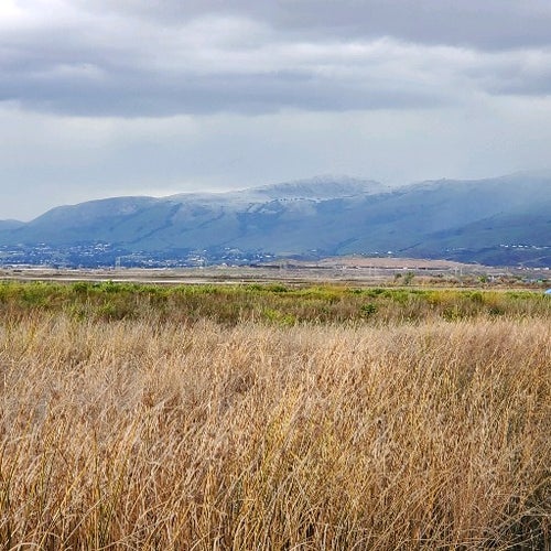 Alviso Marina County Park