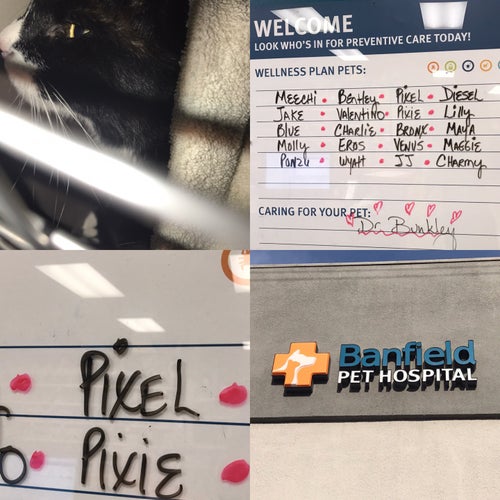 Banfield Pet Hospital