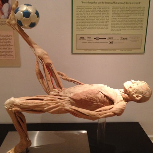 International Museum of Surgical Science