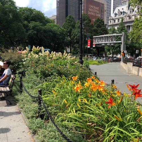 Living Memorial Grove