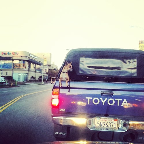 Party City 12121 W Pico Blvd Los Angeles